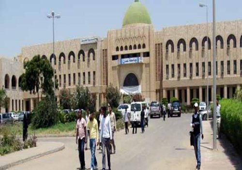 الجامعات 
